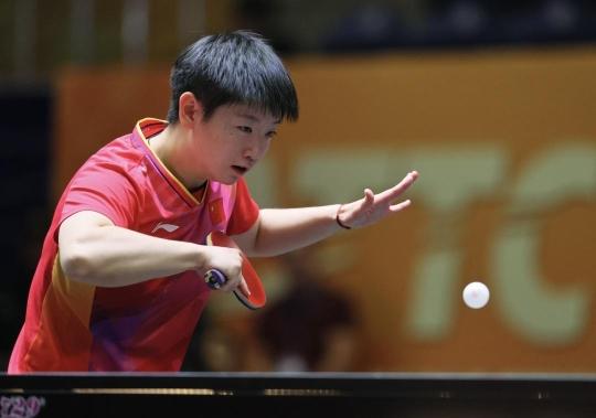 铃木杯的战 铃木杯的战