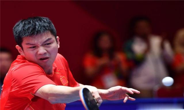 家贝蒂斯感 家贝蒂斯感