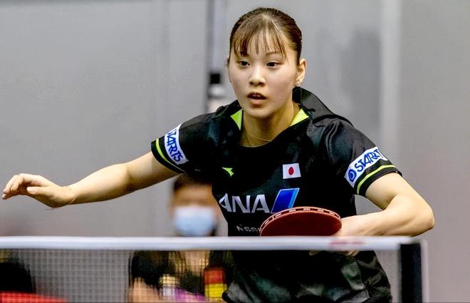 小蜘蛛的角 小蜘蛛的角